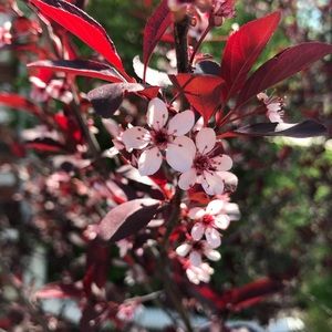 Meet your Posher, Manette